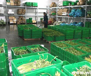 塑料周轉筐能用多少年？